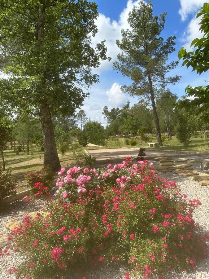 Superbe Villa Seillans La Grande Bastide Avec Piscine, Jardin, Climatisation Et Salle De Sport Exterior foto