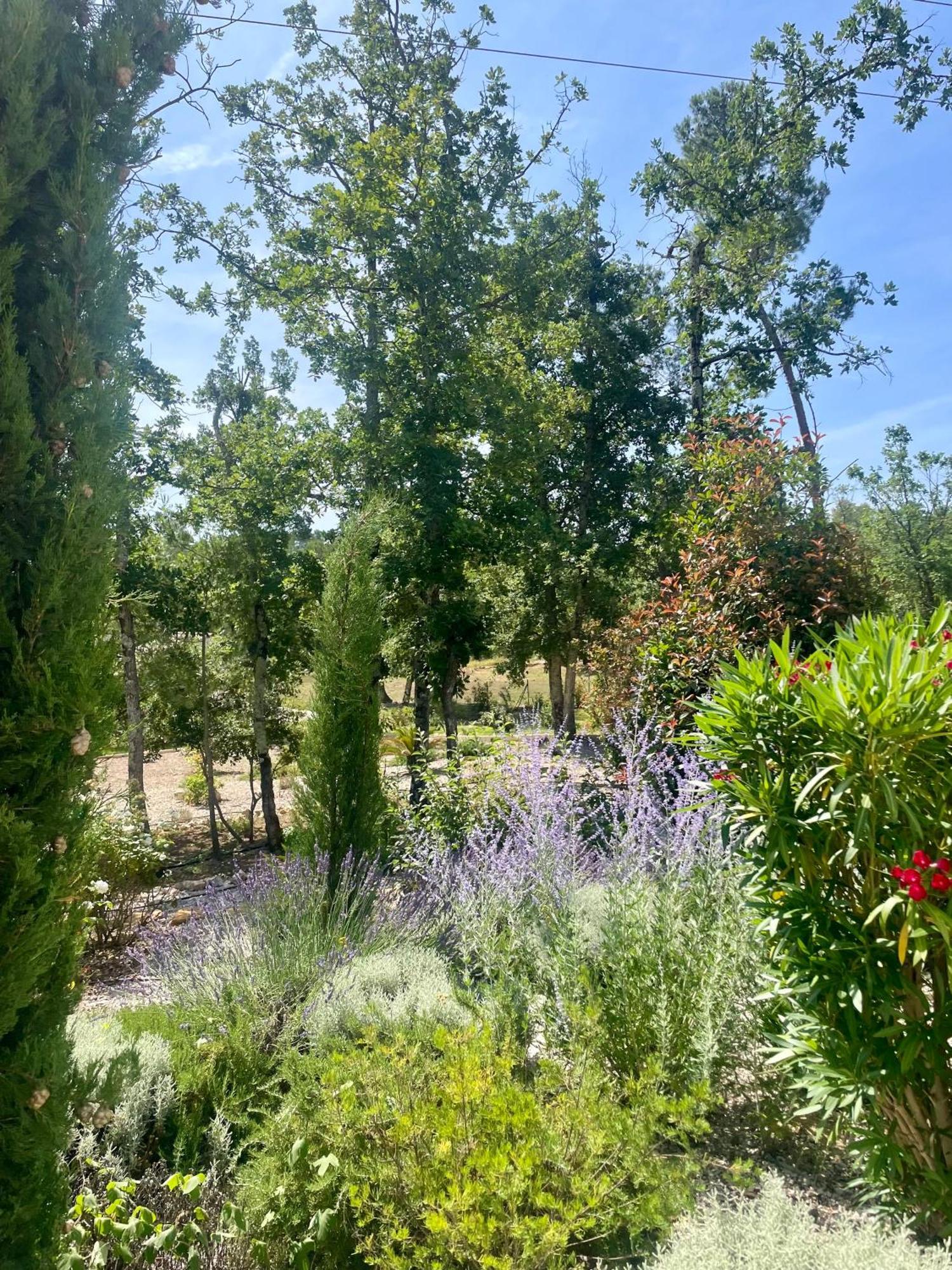 Superbe Villa Seillans La Grande Bastide Avec Piscine, Jardin, Climatisation Et Salle De Sport Exterior foto