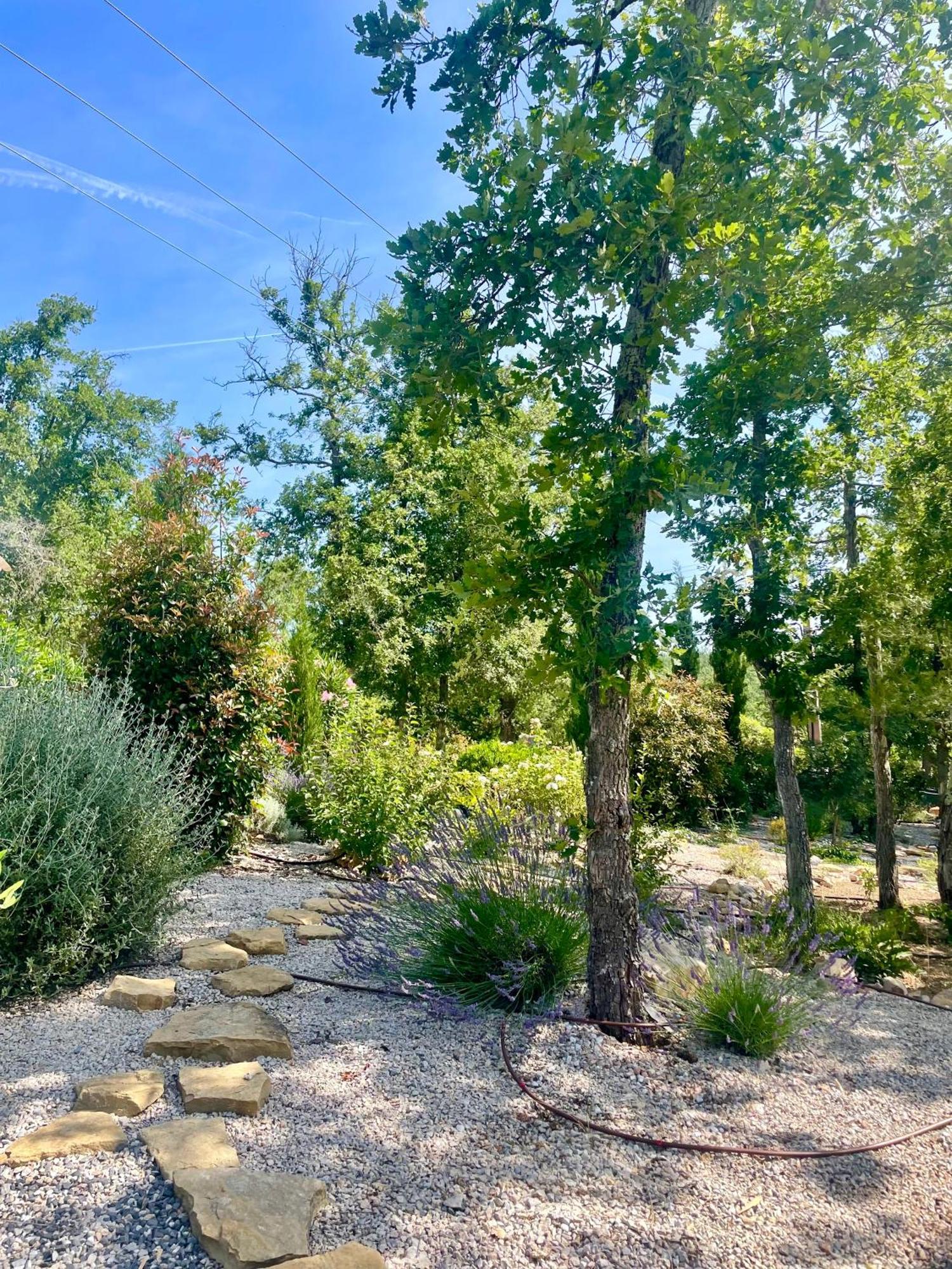 Superbe Villa Seillans La Grande Bastide Avec Piscine, Jardin, Climatisation Et Salle De Sport Exterior foto
